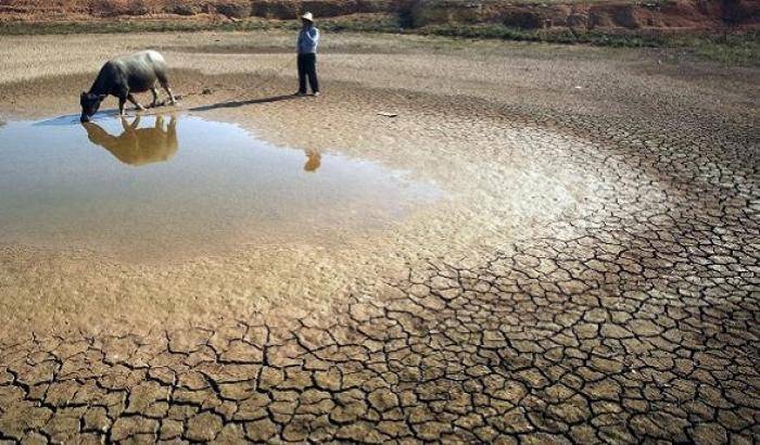 L'allarme dell'Onu: "carenza d'acqua per metà della popolazione mondiale entro il 2050"