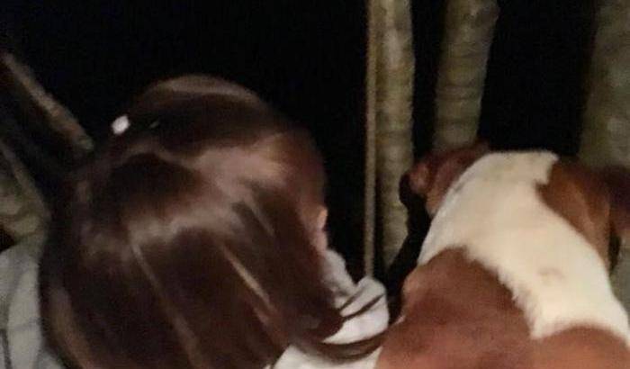 Due sorelline scomparse e ritrovate nel bosco: il loro cane le ha protette