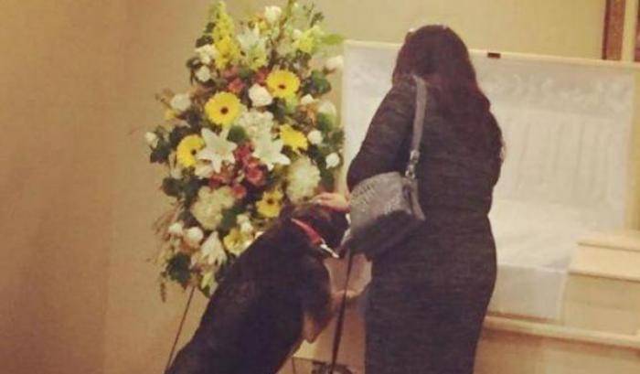 Un cane in lutto partecipa al funerale del proprietario e trova la pace