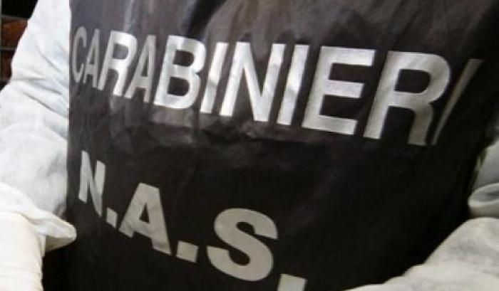 Sequestrate 16 tonnellate di surgelati scaduti da anni: operazione dei carabinieri del Nas