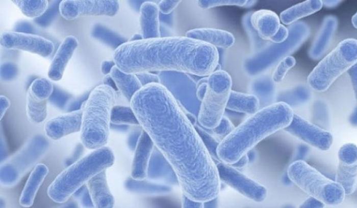 Legionella a Bresso, due campioni d'acqua positivi al batterio: i contagiati salgono a 26