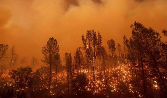 California, continua l'emergenza incendi: un morto e centinaia di evacuati