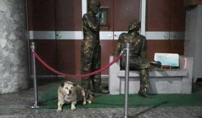 Il cane Uccio che vegliava sulle statue di Falcone e Borsellino