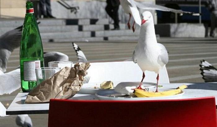 A Roma c'è una barzelletta vivente, si chiama Paolo Ferrara e dicono sia capogruppo M5s