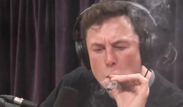 Elon Musk fuma una canna in diretta e il titolo Tesla crolla in borsa
