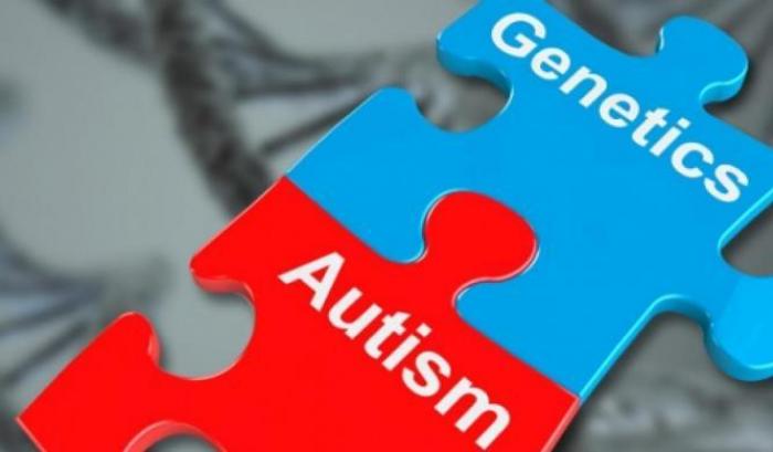 Autismo: identificati 102 geni associati al disturbo dello sviluppo