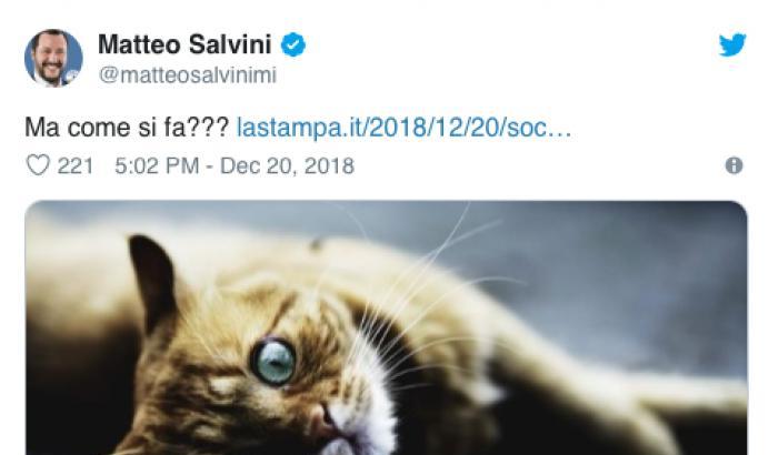 Niente tweet per Antonio Megalizzi, per Salvini sono più importanti i gattini
