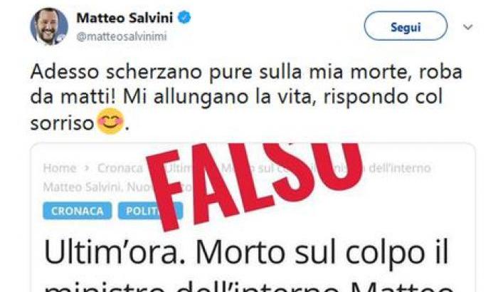 000515ED-salvini Salvini