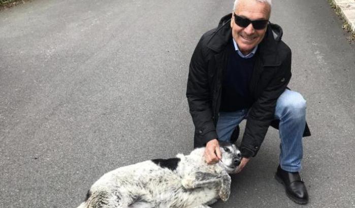 Elia &egrave; tornato libero: la mascotte di Caltanissetta restituita alla citt&agrave;