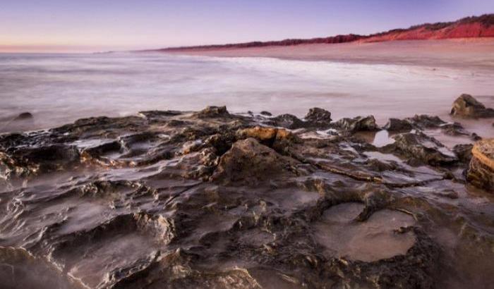 Grande scoperta: orme di dinosauri trovate in Australia