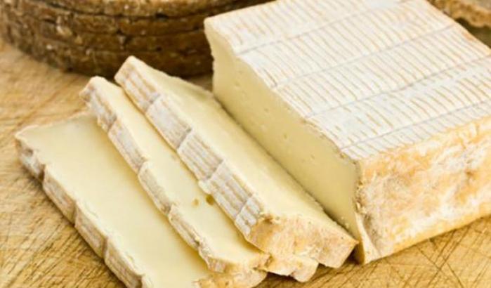 Allerta del ministero della Salute: alcuni lotti di formaggio francese contaminati
