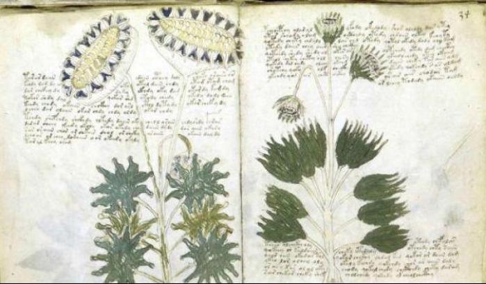 Decifrato il manoscritto Voynich: svelati i rimedi delle monache