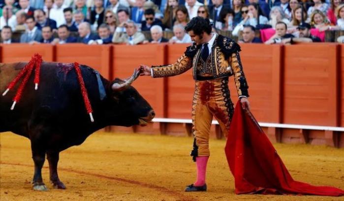Il matador asciuga le lacrime del toro prima di finirlo, monta la protesta in Spagna: 