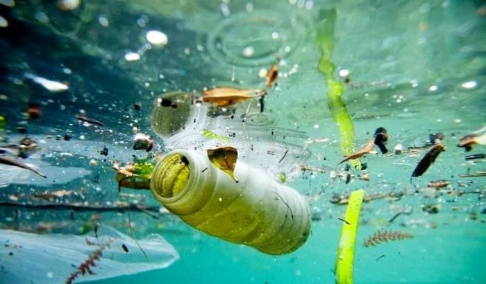 Wwf lancia l'allarme: nel Mediterraneo plastica pari a 33mila bottigliette al minuto