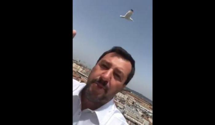 Arrestano Arata ma Salvini indica la vera emergenza: i gabbiani di Roma