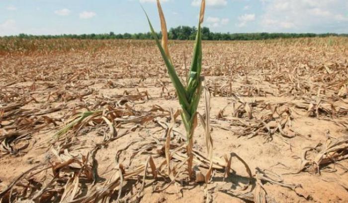 Un quinto dell'Italia è a rischio desertificazione
