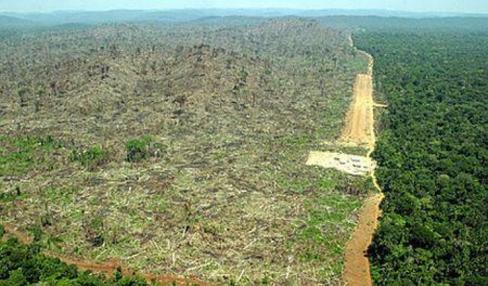 In sette mesi Bolsonaro ha disboscato oltre 3000 chilometri quadrati di Amazzonia