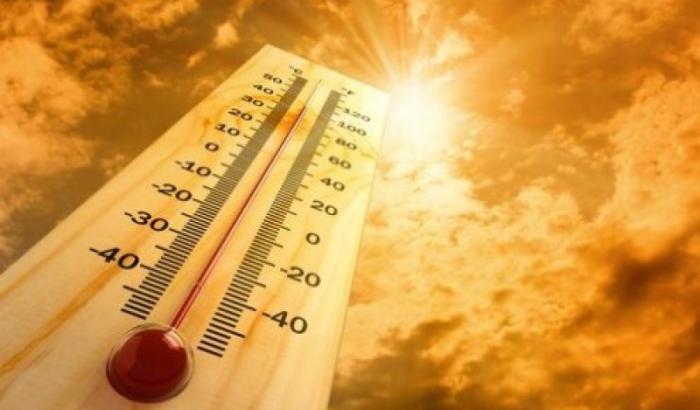 Allerta caldo: punte di 50 gradi al suolo in alcune aree dell'Italia