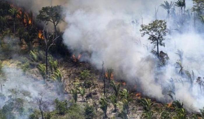 Incendi in Amazzonia