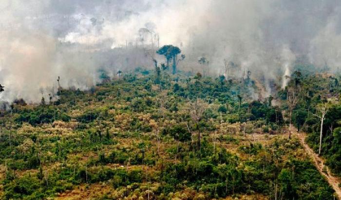 Cosa c'è dietro gli incendi in Amazzonia?