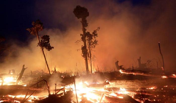 Amazzonia in fiamme: la terra si inginocchia agli adoratori del dio denaro