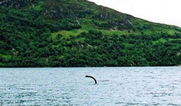 Il mostro di Loch Ness è un'anguilla gigante? Una ricerca apre la possibilità