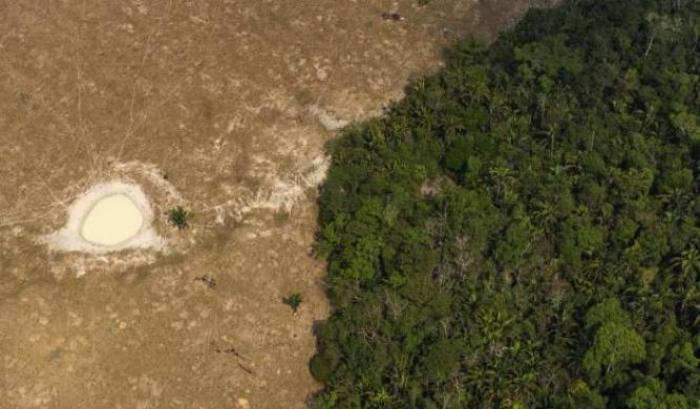 Il rapporto: "Con Bolsonaro la deforestazione delle terre indigene dell'Amazzonia cresciuta del 138%"
