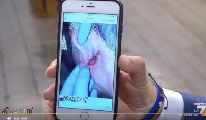 Agente morso all'orecchio da un detenuto tunisino: la storia raccontata da Salvini era una bufala