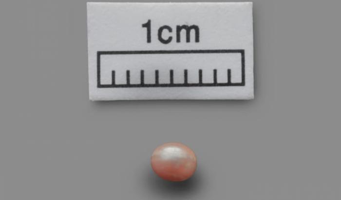 La perla più antica del mondo sarà esposta ad Abu Dhabi: ha più di 8.000 anni