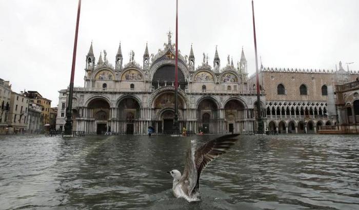 Venezia è sott'acqua. La marea ha toccato il picco di 1,87 metri, seconda misura della storia