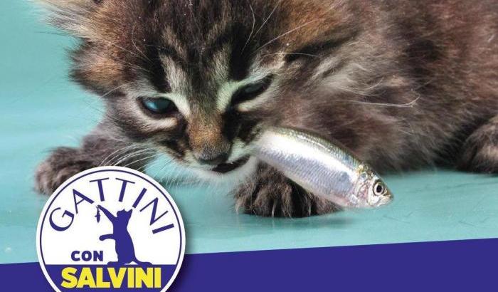 Salvini contro le sardine usando i gattini