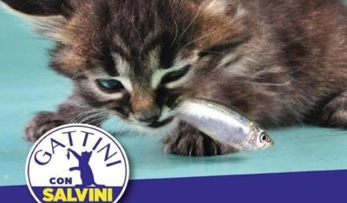 Gattini per Salvini