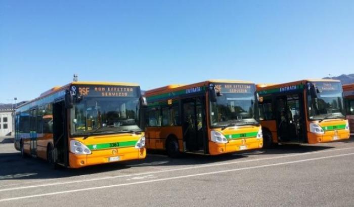 00054F33-autobus Autobus