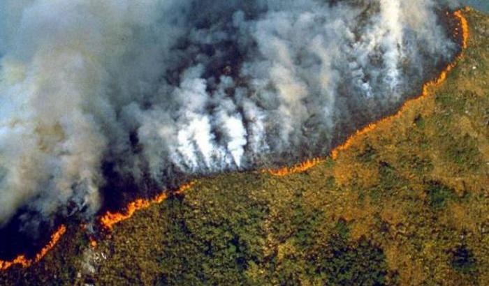 Nel 2019 il Brasile (e il mondo) ha perso nei roghi oltre 300.000 km quadrati di foresta