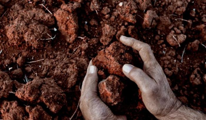 Storia di Giovanni, morto di lavoro in Sicilia perché sognava di restare a vivere nella sua terra