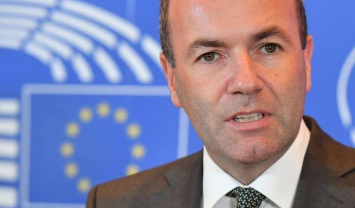 Manfred Weber presidente del gruppo Ppe: "Con i nazisti non si collabora"