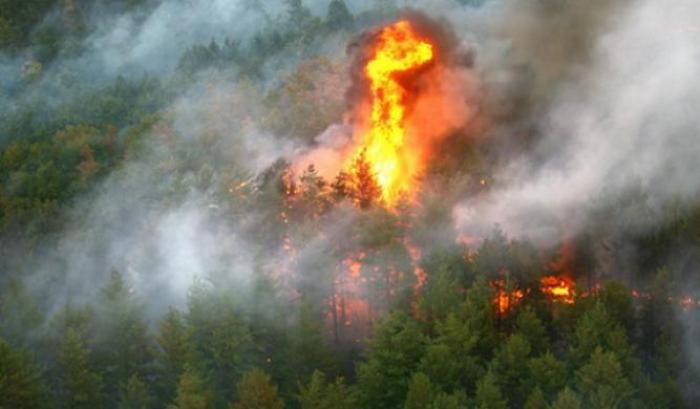 &Egrave; un inverno cos&igrave; caldo che &egrave; gi&agrave; scattato l'allarme incendi