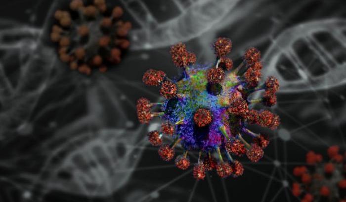 Coronavirus, la mutazione dagli animali all'uomo ricostruita dai ricercatori italiani