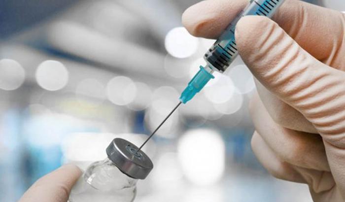 In Australia avviato il test sul vaccino anti coronavirus sui topi