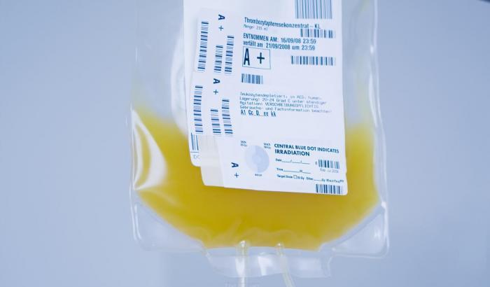 Si studia una cura con il sangue dei guariti: il plasma sano aiuta a combattere il Covid19