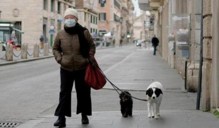 Il veterinario smentisce le fake news: "I cani non contraggono né trasmettono il coronavirus"