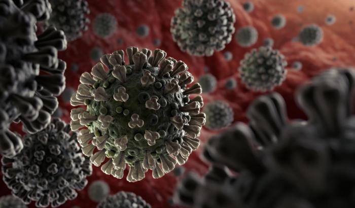 Lo studio: ecco perché il coronavirus colpisce più gli uomini che le donne