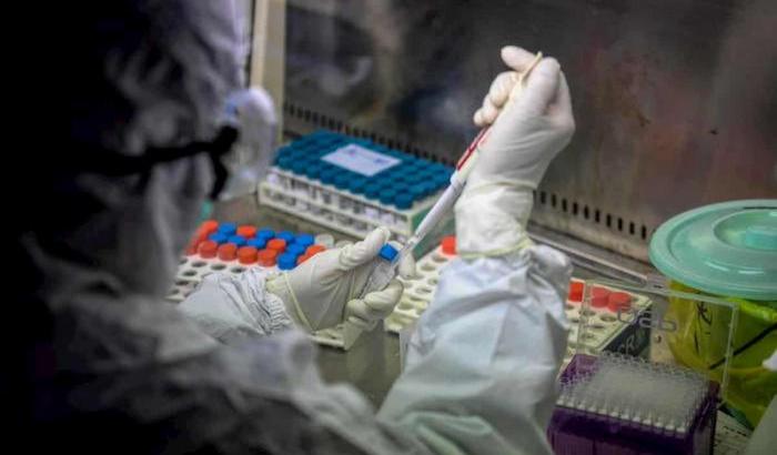 Il vaccino contro Covid-19 già funziona sui topi: la ricerca guidata da un italiano