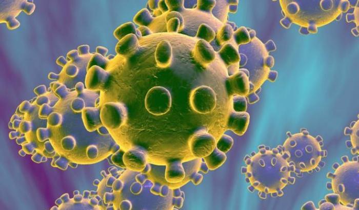 Virus al microscopio