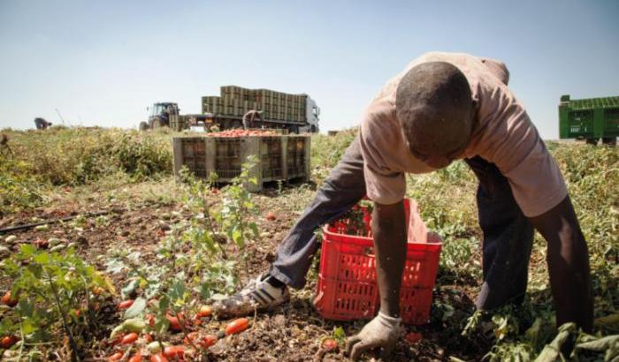 Gioia per Silvia Romano, vergogna per aver negato diritti ai braccianti irregolari