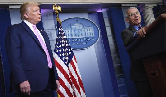 Trump e Fauci