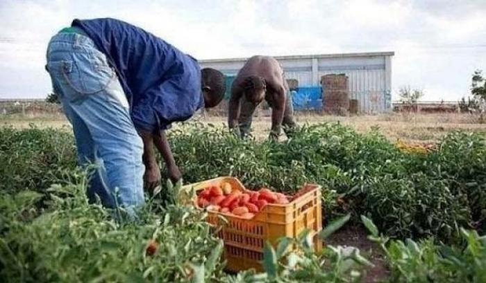 “Domani non comprate frutta e verdura”: lo sciopero solidale per sostenere i braccianti invisibili