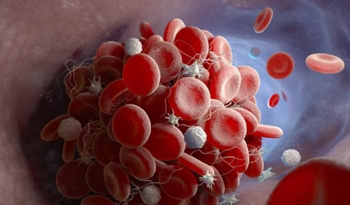 La scoperta dei ricercatori italiani: un anticorpo che riduce la mortalità e accelera la guargione