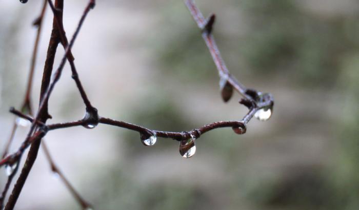 00056BF1-pioggia-estiva Pioggia estiva