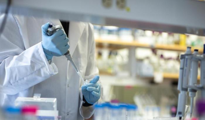L'Università di Firenze ha individuato l'anticorpo che blocca l'infiammazione del Covid